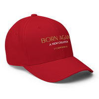 BORN AGAIN - Structured Twill Cap