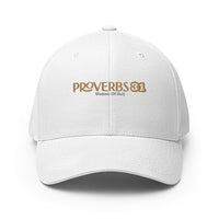 Proverbs 31 - Structured Twill Cap